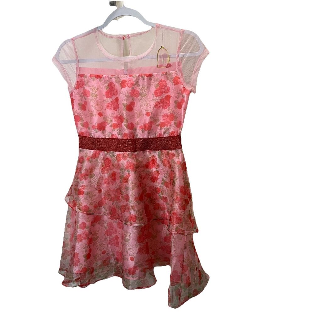 Disney Beauty & The Beast Pink Red Rose Floral Sheer Keyhole Girls Youth Dress L